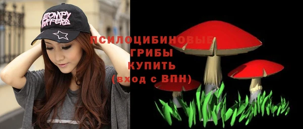 mix Бородино