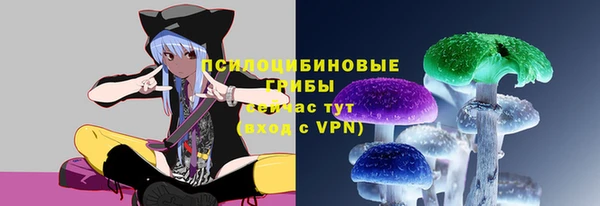 твердый Бугульма