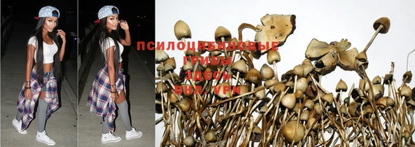 эйфоретик Бронницы